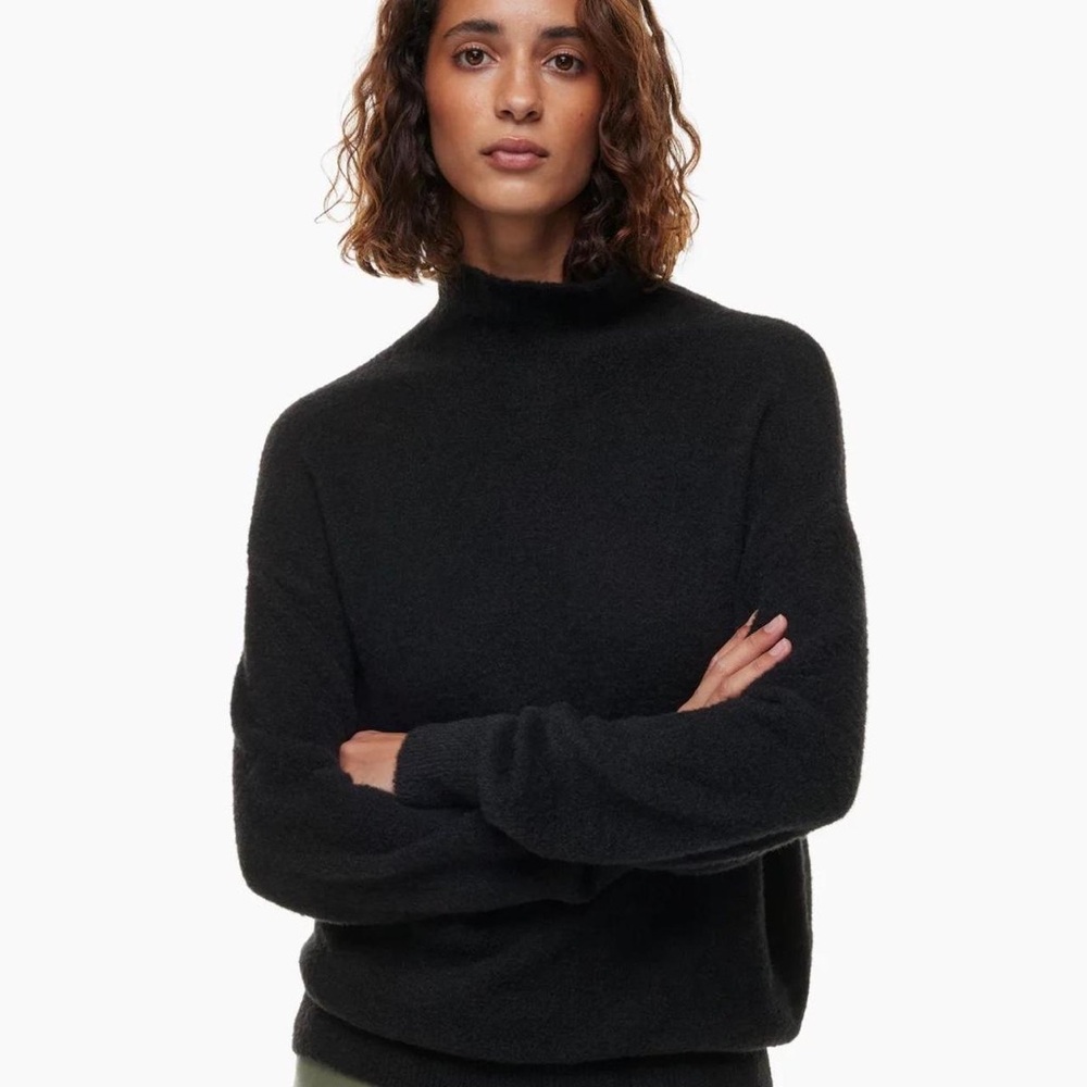 Wilfred Free Hush Knit Turtleneck